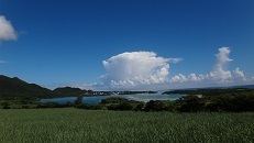 DSC07395.jpg