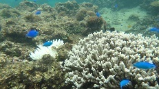 DSC07402.jpg