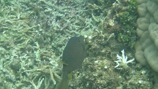 DSC07408.jpg
