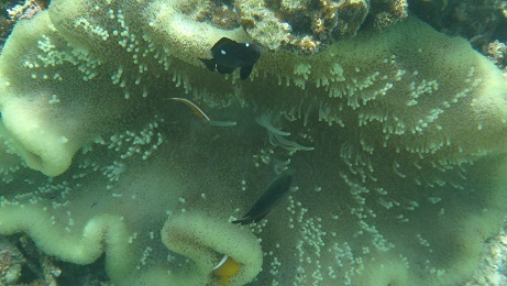 DSC07410.jpg