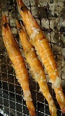 DSC07452.jpg