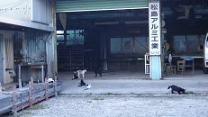 DSC07456.jpg