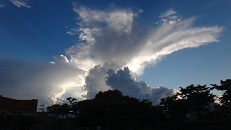 DSC07463.jpg