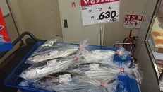 DSC07645.jpg