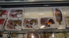 DSC07649.jpg