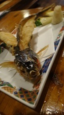 DSC07694.jpg
